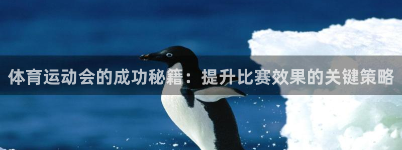 qq体育直播app