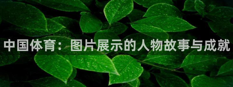 qq体育直播app