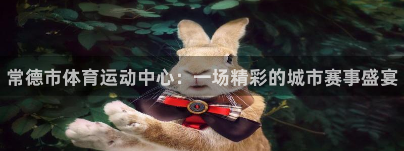 qq体育NBA：常德市体育运动中心：一场精彩的城市赛事盛宴