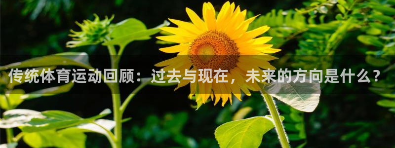 qq体育 直播