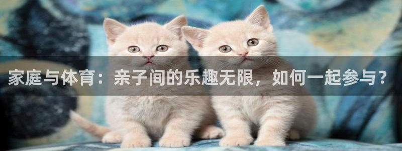 关键词
